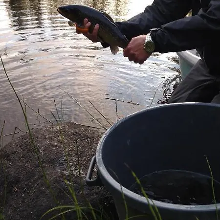 Metsorinne 3a Sarvipoelloe Apartamento Kotila